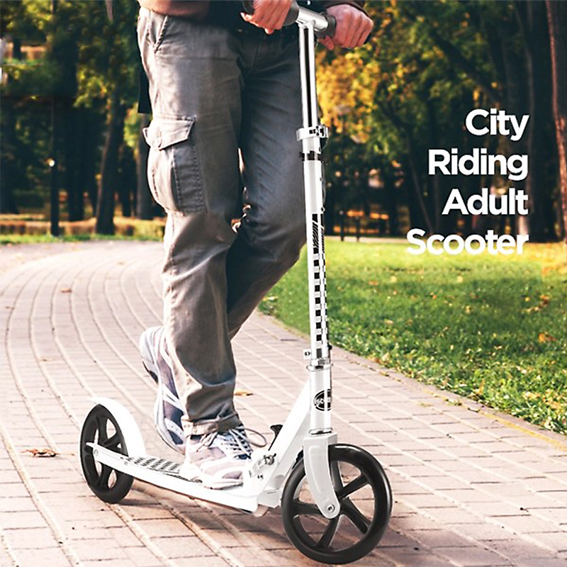 Xe trượt Scooter BBT Global Cỡ Lớn