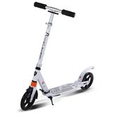 Xe trượt Scooter cao cấp ALS-A5Y