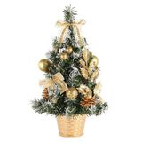 Chậu cây thông trang trí noel 20cm