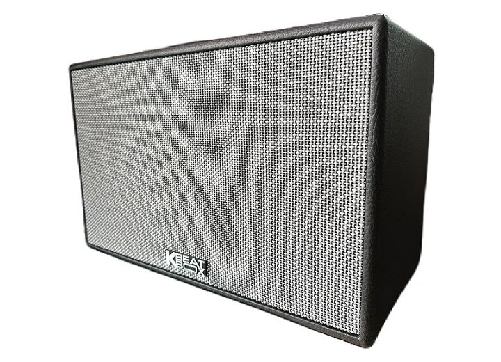 Loa xách tay di động Acnos CS201PU mini karaoke bass 20cm, reverb, bọc da, 70W, micro nhôm