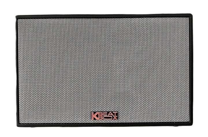 Loa xách tay di động Acnos CS201PU mini karaoke bass 20cm, reverb, bọc da, 70W, micro nhôm