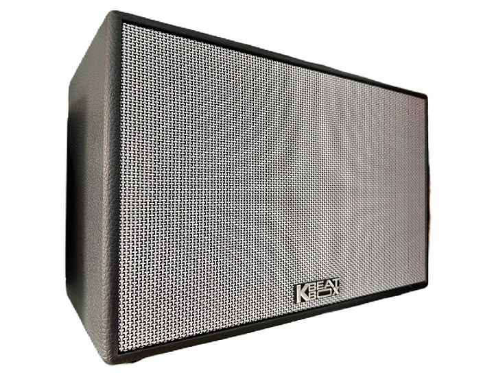 Loa xách tay di động Acnos CS201PU mini karaoke bass 20cm, reverb, bọc da, 70W, micro nhôm