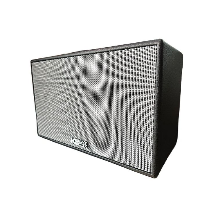 Loa xách tay di động Acnos CS201PU mini karaoke bass 20cm, reverb, bọc da, 70W, micro nhôm