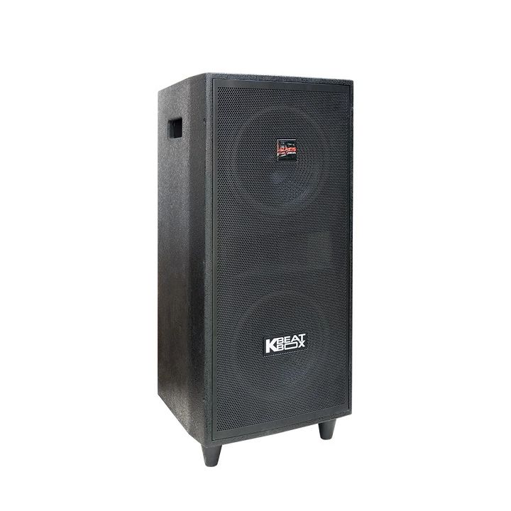 Loa kéo di động Acnos CB2521 thùng gỗ 2 bass 2.5 tấc, 450W